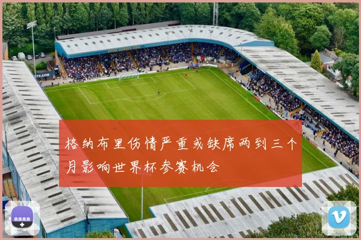 格纳布里伤情严重或缺席两到三个月影响世界杯参赛机会