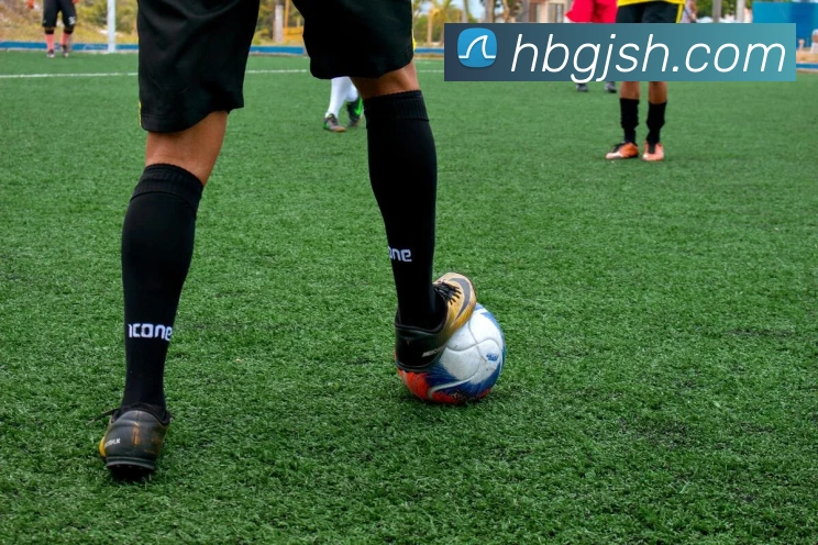 星空体育官网首页登录品牌故事